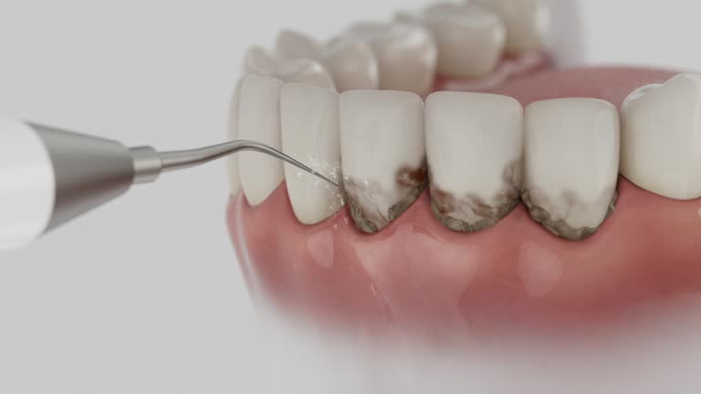 Reliable Dental contractor in Rock Hill, MO by Dentist Open Now